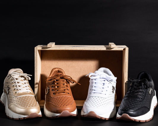 Mastershop Product Image